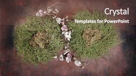  Presentation with 3d rendering of a fantasy - Presentation having preemie baby - fantasy bird nest photographer studio background and a tawny brown colored foreground