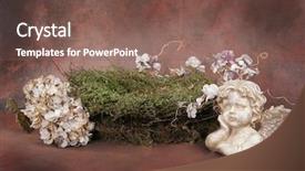  Presentation with preemie baby - PPT layouts with preemie baby - fantasy bird nest photographer studio background and a violet colored foreground