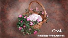  Presentation with preemie baby - Audience pleasing presentation theme consisting of preemie baby - fantasy floral basket photographer studio backdrop and a tawny brown colored foreground