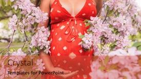  Presentation with pregnant mom - Presentation theme having pregnant-woman-belly-closup background and a red colored foreground