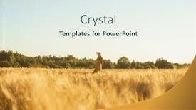  Presentation with magic sunset rays - Theme having pregnant-woman-in-the-rays and a sky blue colored foreground