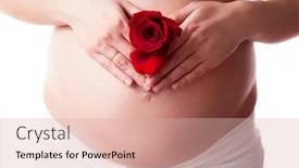  Presentation with white rose - Amazing presentation having pregnant woman with a rose and her hands on her belly isolated against white background backdrop and a lemonade colored foreground