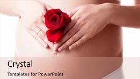  Presentation with white rose - Slide deck consisting of rose and her hands background and a coral colored foreground