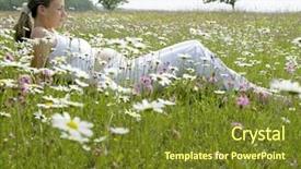  Presentation with meadow - Audience pleasing presentation consisting of pregnant daisy - pregnat woman on meadow backdrop and a tawny brown colored foreground