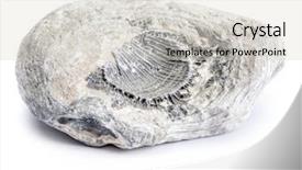  Presentation with prehistoric - Slide set consisting of prehistoric earth - fossil of cretaceous period shot background and a lemonade colored foreground