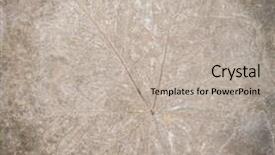  Presentation with prehistoric - Beautiful slide deck featuring prehistoric earth - leaf impression in stone backdrop and a mint green colored foreground