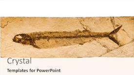  Presentation with prehistoric - Presentation theme having prehistoric-fish-fossil-impint background and a lemonade colored foreground