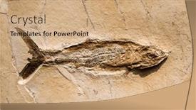  Presentation with prehistoric - Presentation theme enhanced with prehistoric-fish-fossil-impint background and a coral colored foreground