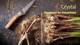  Presentation with garlic - Theme having preparation-of-a-bunch background and a tawny brown colored foreground