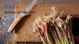  Presentation with garlic - Slides enhanced with preparation-of-a-bunch background and a coral colored foreground