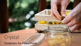  Presentation with syrup - Slides featuring preparation-of-dandelion-syrup background and a coral colored foreground