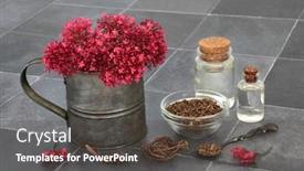  Presentation with root plant - Slide set enhanced with preparation-of-valerian-herb-plant background and a dark gray colored foreground