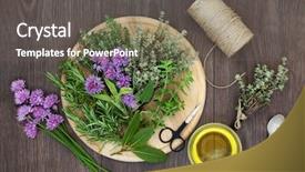  Presentation with lemongrass herb plant fresh leaves - Beautiful slides featuring preparation with fresh herbs oil backdrop and a gray colored foreground