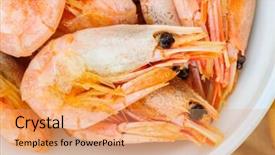  Presentation with shrimps - Amazing slide set having prepared boiled shrimps macro extreme close up backdrop and a coral colored foreground