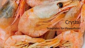 Presentation with shrimps - Presentation design consisting of prepared boiled shrimps macro extreme close up background and a gold colored foreground