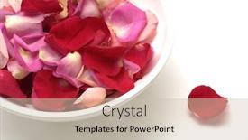  Presentation with pink rose - Presentation theme featuring bath preparations - preparing for red and pink background and a soft green colored foreground