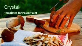  Presentation with drying food - Cool new presentation theme with preparing-fresh-boletus-edulis backdrop and a forest green colored foreground