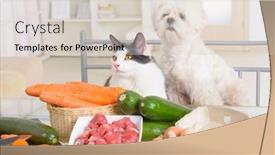  Presentation with pets - Cool new slides with preparing-natural-natural-organic-food backdrop and a lemonade colored foreground