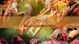  Presentation with spanish food - 