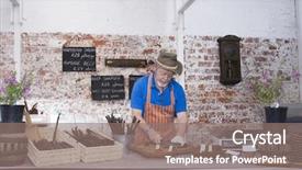  Presentation with aged - Presentation theme consisting of hummingbird hawk-moth macroglossum stellatarum background and a dark gray colored foreground