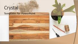  Presentation with fern - Beautiful presentation theme featuring preparing to mount staghorn fern backdrop and a coral colored foreground