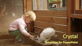  Presentation with babies feeding - Beautiful PPT layouts featuring preschool countries - cute little girl feeding funny backdrop and a tawny brown colored foreground