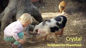  Presentation with pig - Slide deck with preschool countries - cute little girl feeding funny background and a tawny brown colored foreground