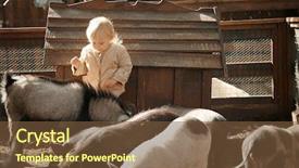  Presentation with animals zoo - Amazing slide deck having preschool countries - cute little girl looking backdrop and a tawny brown colored foreground