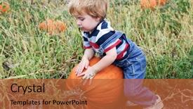  Presentation with pumpkin seeds as pumpkin - Audience pleasing slides consisting of preschool countries - toddler boy picking a pumpkin backdrop and a red colored foreground
