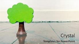  Presentation with old dry tree - Slides with preschool stem - old wooden tree toy background and a light gray colored foreground