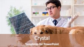  Presentation with doctor examining a newborn baby - PPT theme featuring presentation dogs - doctor examining golden retriever dog background and a red colored foreground
