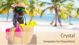  Presentation with funny - Cool new slide deck with presentation dogs - funny summer black dog backdrop and a lemonade colored foreground