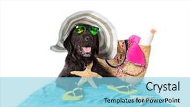  Presentation with accessories - Amazing theme having presentation dogs - funny summer black dog backdrop and a light blue colored foreground