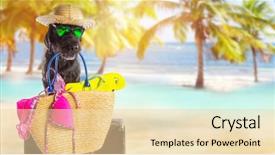  Presentation with summer - Theme with presentation dogs - funny summer black dog background and a  colored foreground