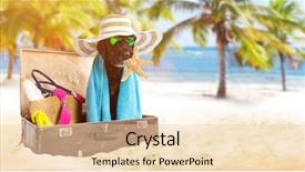  Presentation with accessories - PPT theme consisting of presentation dogs - mutt black dog with beach background and a lemonade colored foreground