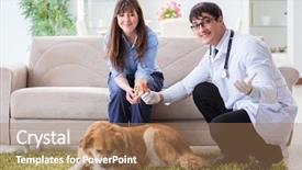  Presentation with doctor visiting family - Amazing presentation theme having presentation dogs - vet doctor visiting golden retriever backdrop and a  colored foreground