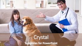  Presentation with doctor visiting family - Colorful PPT theme enhanced with presentation dogs - vet doctor visiting golden retriever backdrop and a  colored foreground