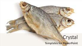  Presentation with dry fish - Slides enhanced with dry fish isolated on white background and a lemonade colored foreground