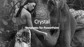  Presentation with fine art - Presentation consisting of fine art fashion image of an brunette beauty posing with an elephant background and a dark gray colored foreground