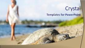  Presentation with sea sun - Presentation theme enhanced with turtle on beach walking woman wearing white dress in background sun shining in relaxed atmosphere hawaiian nature scene with sea turtles big island hawaii usa background and a sky blue colored foreground