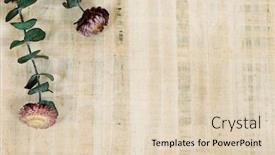  Presentation with papyrus - Amazing PPT layouts having preserved-flowers-on-a-sheet backdrop and a lemonade colored foreground