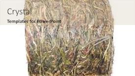  Presentation with cylinder - Slides enhanced with pressed-grass-bricket-of-hay background and a soft green colored foreground