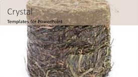  Presentation with cylinder - Presentation design consisting of pressed-grass-hay background and a coral colored foreground