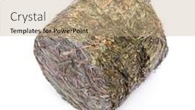  Presentation with cylinder - Beautiful PPT theme featuring pressed-grass-hay backdrop and a coral colored foreground