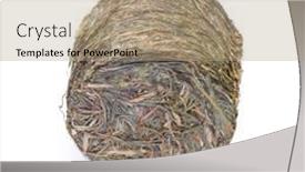  Presentation with cylinder - Slide set featuring pressed-grass-hay background and a coral colored foreground