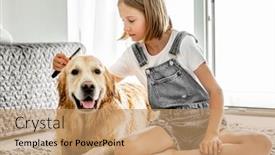  Presentation with pretty girl - Slide set consisting of preteen-girl-brushes-golden-retriever background and a coral colored foreground