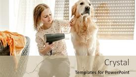  Presentation with dog bath - Presentation consisting of preteen-girl-dries-golden-retriever background and a  colored foreground