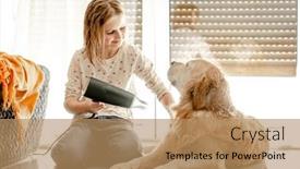  Presentation with dog bath - PPT theme enhanced with preteen-girl-dries-golden-retriever background and a  colored foreground
