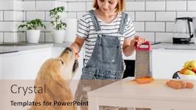  Presentation with dog feeds - Presentation theme with preteen-girl-grinds-carrot-using background and a coral colored foreground