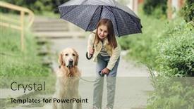  Presentation with dog park - PPT theme having preteen-girl-with-golden-retriever background and a  colored foreground